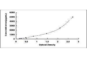 QSOX1 ELISA Kit