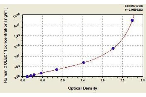 COLEC11 ELISA Kit