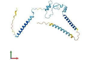 AlphaFold protein structure predicition of Human Recombinant RP9 Protein, UniprotID Q8TA86