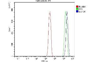 Flow Cytometry analysis of SiHa cells using anti-EEF2K antibody (ABIN7600209). (EEF2K antibody  (AA 162-719))