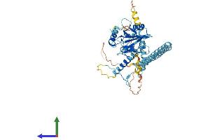 AlphaFold protein structure predicition of Human Recombinant SH2D4A Protein, UniprotID Q9H788