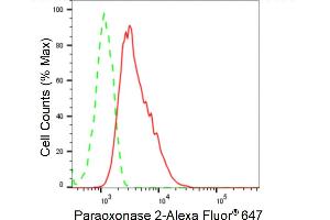 Flow cytometric analysis of Paraoxonase 2 expression in HepG2 cells using Paraoxonase 2 antibody (ABIN7799735), 1:2,000).