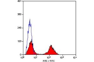 Staining of human peripheral blood lymphocytes with MOUSE ANTI HUMAN CD5:FITC (CD5 antibody  (FITC))