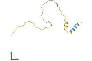 AlphaFold protein structure predicition of Human Recombinant KRTAP19-4 Protein, UniprotID Q3LI73