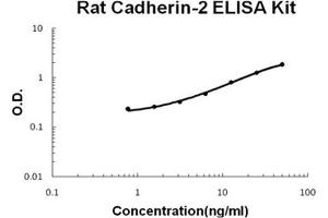 Rat Cadherin-2/N-Cadherin PicoKine ELISA Kit standard curve (N-Cadherin ELISA Kit)