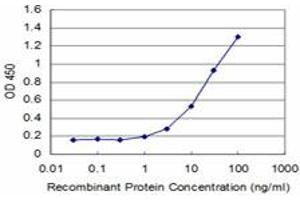 Detection limit for recombinant GST tagged FOXO1A is approximately 1ng/ml as a capture antibody. (FOXO1 antibody  (AA 556-655))
