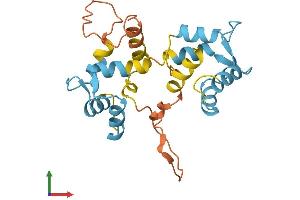 AlphaFold protein structure predicition of Human Recombinant MYL10 Protein, UniprotID Q9BUA6 (MYL10 Protein (AA 1-226) (His tag))
