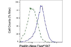 Validation of Paxillin knockdown using flow cytometry.