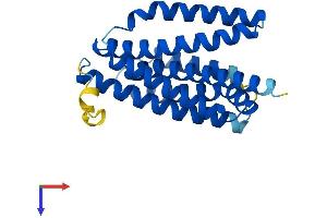 AlphaFold protein structure predicition of Human Recombinant TMBIM6 Protein, UniprotID P55061 (Bax Inhibitor 1 Protein (AA 1-237) (His tag))