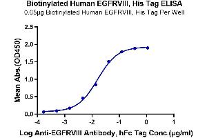 EGFR vIII (EGFRv3) (AA 25-378) protein (His-Avi Tag,Biotin)