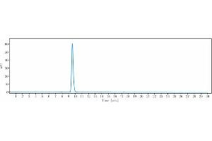 anti-Interleukin 15 (IL15) antibody
