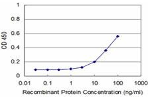 OSR1 antibody  (AA 1-100)