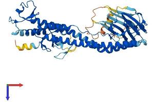 Protein Structure (PS) image for Tripartite Motif Containing 49C (TRIM49C) (AA 1-452) protein (His tag) (ABIN7544672)