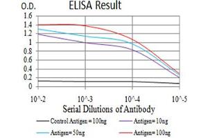 Black line: Control Antigen (100 ng);Purple line: Antigen (10ng); Blue line: Antigen (50 ng); Red line:Antigen (100 ng) (IGHA1 antibody  (AA 207-353))