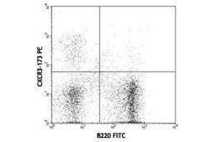 Flow Cytometry (FACS) image for anti-Chemokine (C-X-C Motif) Receptor 3 (CXCR3) antibody (PE) (ABIN2663113) (CXCR3 antibody  (PE))