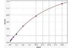 Typical standard curve (RUNX2 ELISA Kit)