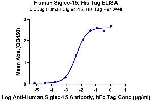 Immobilized Human Siglec-15, His Tag at 0. (SIGLEC15 Protein (AA 20-263) (His-Avi Tag))