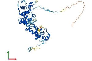 AlphaFold protein structure predicition of Human Recombinant EBLN1 Protein, UniprotID P0CF75 (EBLN1 Protein (AA 1-366) (His tag))