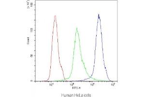 Flow cytometry testing of human HeLa cells with CB1 antibody at 1ug/10^6 cells (blocked with goat sera) (CNR1 antibody)