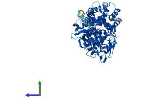 Protein Structure (PS) image for Cytochrome P450, Family 7, Subfamily B, Polypeptide 1 (CYP7B1) (AA 1-506) protein (His tag) (ABIN7546659)