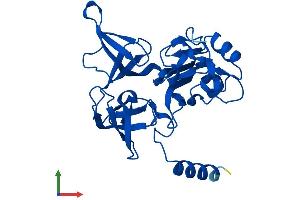 Protein Structure (PS) image for Ribosomal Protein S4, Y-Linked 1 (RPS4Y1) (AA 1-263) protein (His tag) (ABIN7551575)