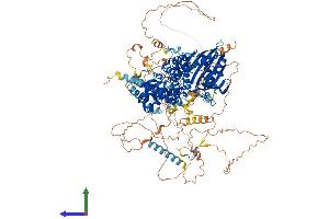 AlphaFold protein structure predicition of Mouse Recombinant Dlc1 Protein, UniprotID Q9R0Z9 (DLC1 Protein (AA 1-1092) (His tag))