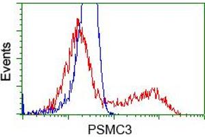 Image no. 5 for anti-Proteasome (Prosome, Macropain) 26S Subunit, ATPase, 3 (PSMC3) antibody (ABIN1501331) (PSMC3 antibody)