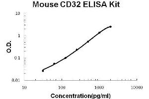 Mouse CD32/FCGR2b/c PicoKine ELISA Kit standard curve (FCGR2B ELISA Kit)
