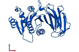 Protein Structure (PS) image for Thiamin Pyrophosphokinase 1 (TPK1) (AA 1-243) protein (His tag) (ABIN7544708)