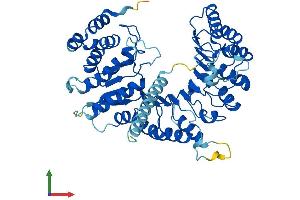 AlphaFold protein structure predicition of Human Recombinant LRRC14B Protein, UniprotID A6NHZ5 (LRRC14B Protein (AA 1-514) (His tag))