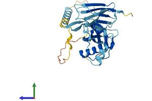 AlphaFold protein structure predicition of Mouse Recombinant Pih1d1 Protein, UniprotID Q9CQJ2 (PIH1D1 Protein (AA 1-290) (His tag))