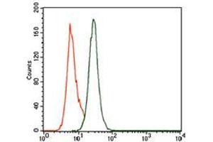Flow cytometric analysis of MOLT4 cells using PCNA mouse mAb (green) and negative control (purple). (PCNA antibody  (AA 53-196))