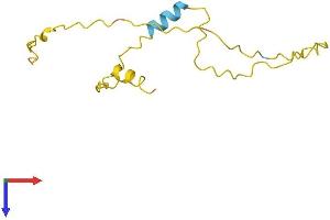 AlphaFold protein structure predicition of Human Recombinant PAGE5 Protein, UniprotID Q96GU1 (PAGE5 Protein (AA 1-130) (His tag))