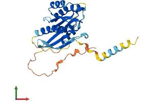Protein Structure (PS) image for RAS-Like, Family 11, Member B (RASL11B) (AA 1-248) protein (His tag) (ABIN7551585)