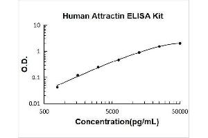 Typical Standard Curve
