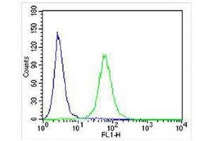 Overlay histogram showing U-2 OS cells stained with (ABIN6242397 and ABIN6578004) (green line). (IL-24 antibody)