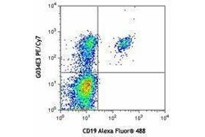 Flow Cytometry (FACS) image for anti-Chemokine (C-C Motif) Receptor 6 (CCR6) antibody (PE-Cy7) (ABIN2659155) (CCR6 antibody  (PE-Cy7))