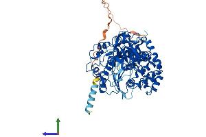 AlphaFold protein structure predicition of Human Recombinant GALNT10 Protein, UniprotID Q86SR1 (GALNT10 Protein (AA 1-603) (His tag))