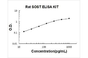 Sclerostin (SOST) ELISA Kit