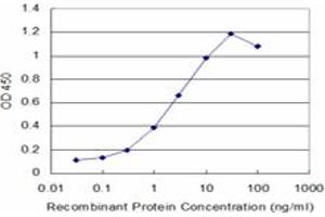 Detection limit for recombinant GST tagged TTN is approximately 0. (Titin antibody  (AA 1-110))