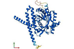 AlphaFold protein structure predicition of Human Recombinant LPGAT1 Protein, UniprotID Q92604 (LPGAT1 Protein (AA 1-370) (His tag))