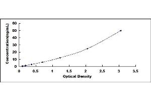 Typical standard curve (GFOD1 ELISA Kit)