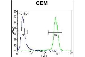 PON1 Antibody (Center) (ABIN654641 and ABIN2844338) flow cytometric analysis of CEM cells (right histogram) compared to a negative control cell (left histogram). (PON1 antibody  (AA 118-145))