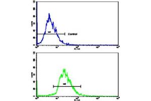 Flow cytometric analysis of HepG2 cells using CD82 polyclonal antibody (bottom histogram) compared to a negative control cell (top histogram).