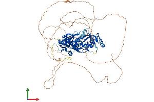 AlphaFold protein structure predicition of Human Recombinant C18orf63 Protein, UniprotID Q68DL7 (C18orf63 Protein (AA 1-685) (His tag))