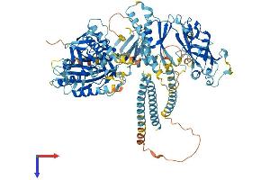 KIF28P (AA 1-967) protein (His tag)