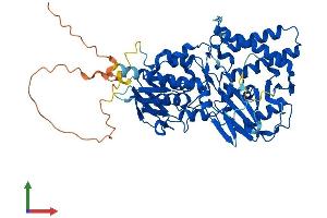 Protein Structure (PS) image for Spermine Oxidase (SMOX) (AA 1-555) protein (His tag) (ABIN7546212)