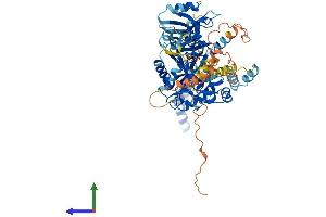AlphaFold protein structure predicition of Human Recombinant MPP4 Protein, UniprotID Q96JB8 (MPP4 Protein (AA 1-637) (His tag))