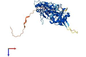 AlphaFold protein structure predicition of Human Recombinant ACTL9 Protein, UniprotID Q8TC94 (ACTL9 Protein (AA 1-416) (His tag))