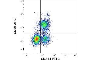 Flow cytometry multicolor surface staining of human lymphocytes stained using anti-human CD314 (1D11) FITC antibody (4 μL reagent / 100 μL of peripheral whole blood) and anti-human CD56 (LT56) APC antibody (10 μL reagent / 100 μL of peripheral whole blood). (KLRK1 antibody  (FITC))